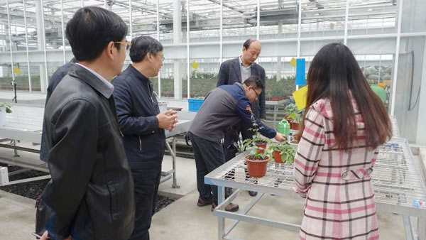 山東農業大學教授魏珉和李清明一行參觀考察AgriPheno平臺