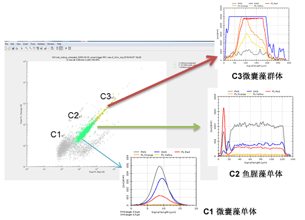 CytoSense藻類在線系統120h高頻次無故障運行實驗效果圖.gif