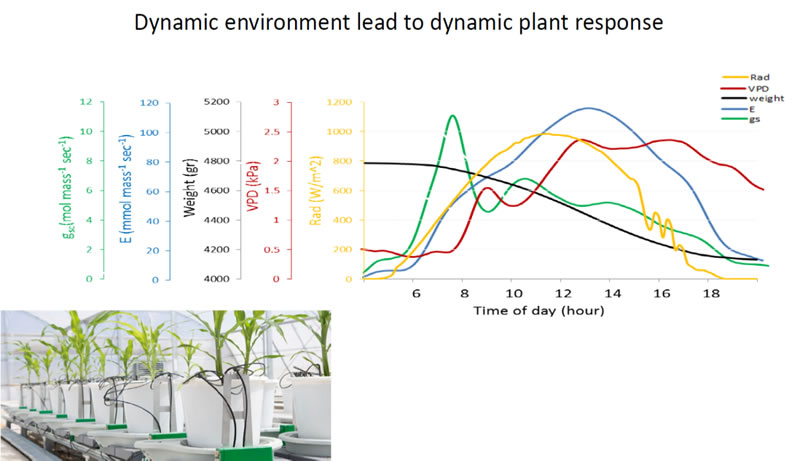 Plantarray可連續監測溫室中生長植物的生理指標日變化.jpg