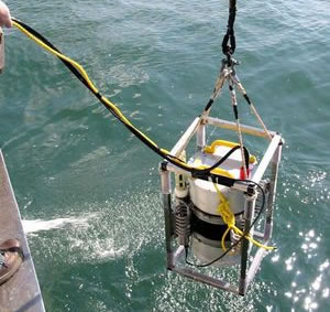 210524CytoBuoy.jpg