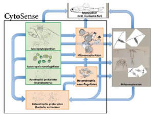 CytoSense XR3.jpg